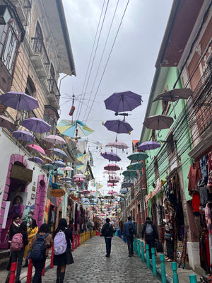 Digital nomads travelling throughLa Paz in Bolivia. Couple travel, slow travel, working remotely, vegan travel, budget travel. Umbrella street.