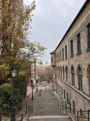Historic beautiful laneway in Buda of Budapest down to Danube digital nomads visiting Christmas Markets