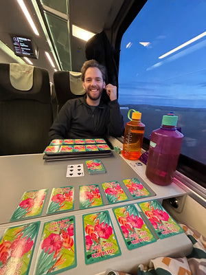 Train ride from Vienna to Budapest playing cards digital nomads