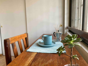 Digital nomads travelling Santiago, Chile. Couple travel, slow travel, working remotely, vegan travel, budget travel. Affordable and simple accommodation.
