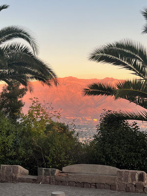 Digital nomads travelling through Chile. Couple travel, slow travel, working remotely, vegan travel, budget travel. Vista of Andes and Santiago skyline from hilltop.