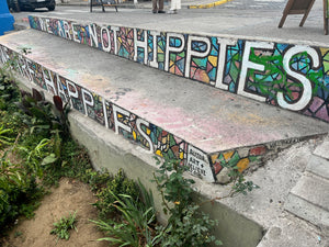 Digital nomads travelling through Valparaiso, Chile. Couple travel, slow travel, working remotely, vegan travel, budget travel. Iconic Street art of we are not hippies, we are happies.