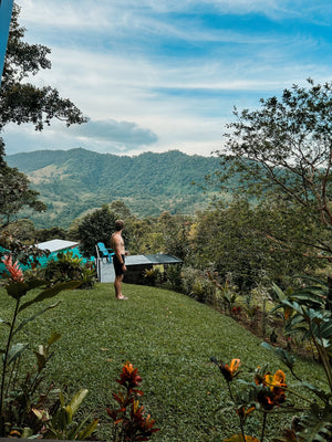Digital nomads in El Tigre Costa Rica at their Airbnb near Children's Eternal Rainforest in lush forested valley.