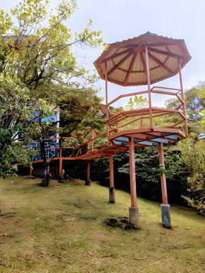 Digital nomads travelling through Monteverde, Costa Rica. Couple travel, slow travel, working remotely, vegan travel, budget travel. Affordable accommodation to visit Cloud Forest near Monteverde.
