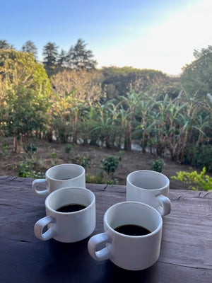 Digital nomads at coffee tour in Monteverde with Don Juan tours also observing Cocoa and Sugar cane production.