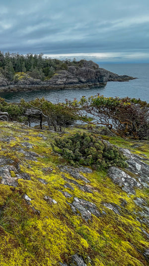 Digital nomads travelling the world. Itinerary of British Columbia, Canada based on couple travel, slow travel, working remotely, vegan travel, and budget travel. Picture of the lush greenery and rocky coast in Lasqueti.