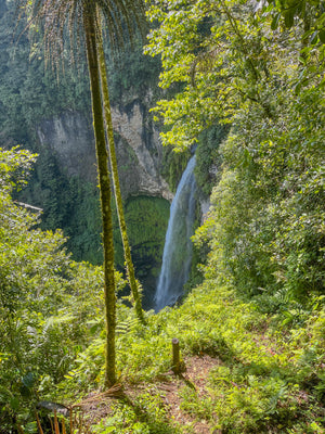 Digital nomads travelling the world. Itinerary of Costa Rica based on couple travel, slow travel, working remotely, vegan travel, and budget travel. Picture of the forest, waterfall, and trees.