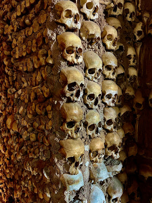 Human skulls seen at the Chapel of Bones in Evora Portugal portraying the fragility of human life.