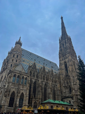 Beautiful architecture at Vienna's St. Stephens Cathedral with patterned roof