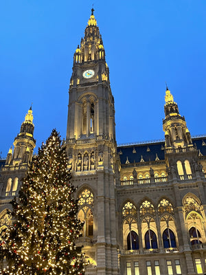Christmas tree and lights at Vienna's city hall during the holidays