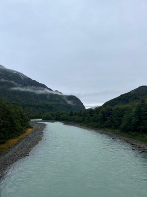 Digital nomads travelling through Patagonia. Couple travel, slow travel, working remotely, vegan travel, budget travel. Glaciers, blue rivers, and beautiful flowers in Torres del Paine near Puerto Natales.