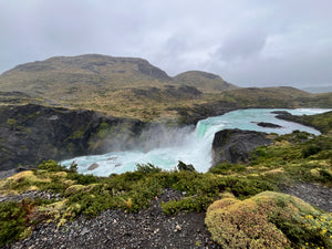 Digital nomads travelling through Patagonia. Couple travel, slow travel, working remotely, vegan travel, budget travel. Glaciers, rivers, and waterfalls, and beautiful flowers in Torres del Paine near Puerto Natales.