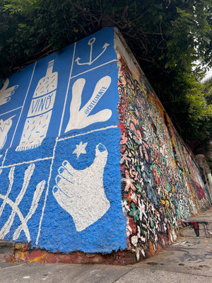 Digital nomads travelling through Valparaiso, Chile. Couple travel, slow travel, working remotely, vegan travel, budget travel. Street art.
