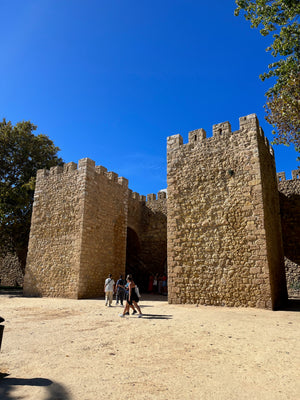 Old and medieval castle in Lagos Portugal